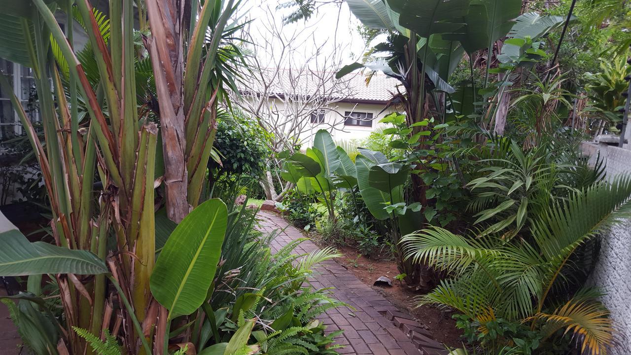 Old N New Bed & Breakfast Umhlanga Rocks Εξωτερικό φωτογραφία
